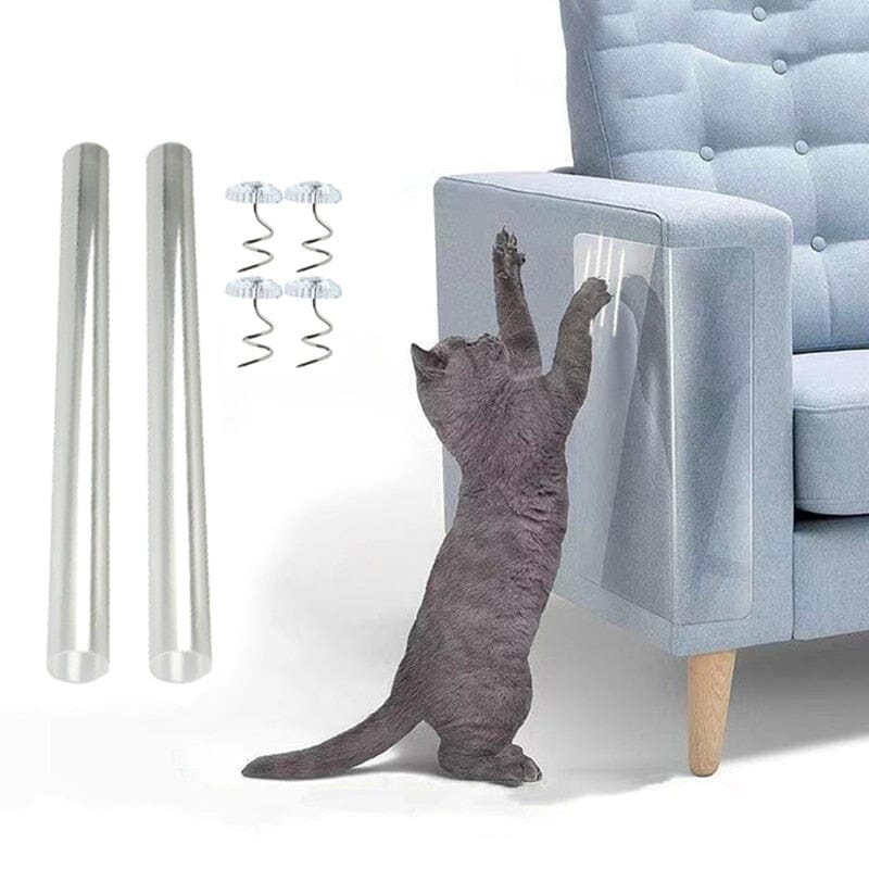 Film-protecteur-griffure-chat